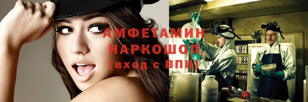ПСИЛОЦИБИНОВЫЕ ГРИБЫ Белокуриха