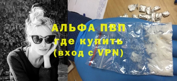 ПСИЛОЦИБИНОВЫЕ ГРИБЫ Белокуриха