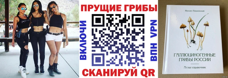 Псилоцибиновые грибы Magic Shrooms  Купить где  Вуктыл 